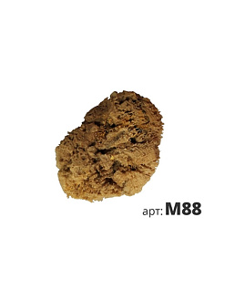 STM Decor Натуральная губка морская M88